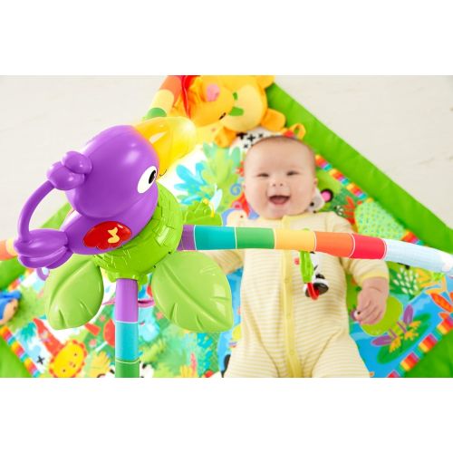  Fisher-Price Rainforest Music Lights Deluxe Gym Amazon Exclusive, Multicolor
