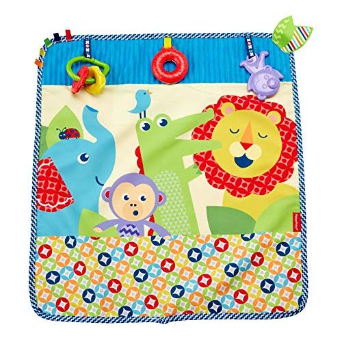  Fisher-Price On-the-Go Activity Throw