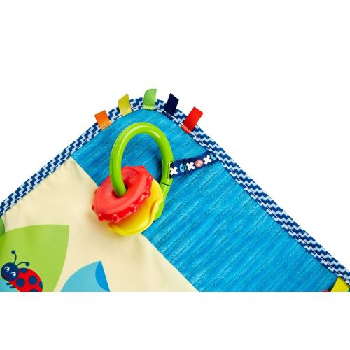  Fisher-Price On-the-Go Activity Throw