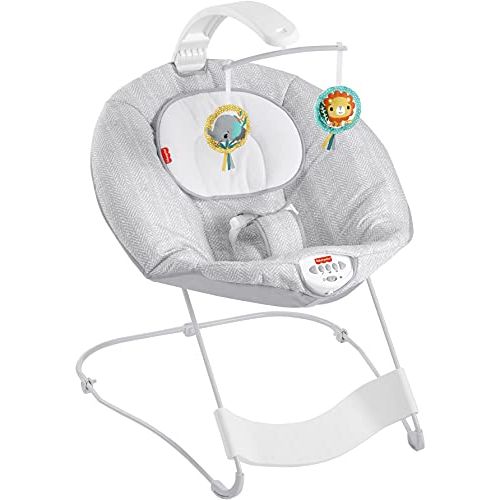  Fisher-Price See and Soothe Deluxe Bouncer Hearthstone, Soothing Baby Seat for Infants and Newborns [Amazon Exclusive]