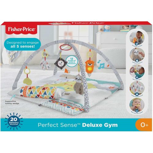  Fisher-Price Perfect Sense Deluxe Gym