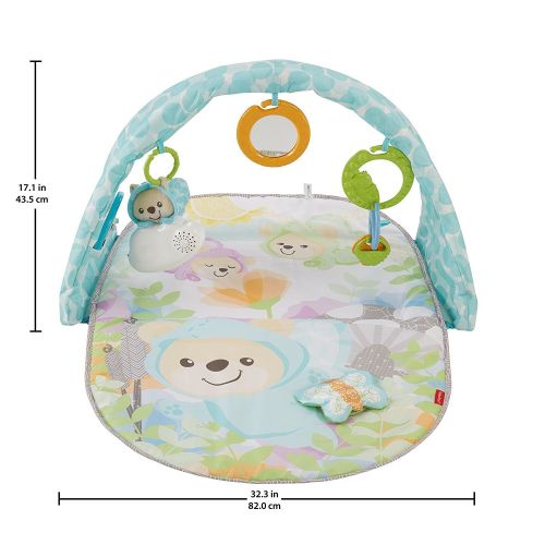 피셔프라이스 Fisher-Price Butterfly Dreams Musical Playtime Gym [Amazon Exclusive]