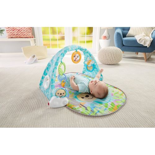 피셔프라이스 Fisher-Price Butterfly Dreams Musical Playtime Gym [Amazon Exclusive]