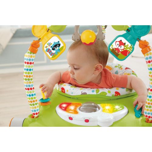 피셔프라이스 Fisher-Price Woodland Friends SpaceSaver Jumperoo