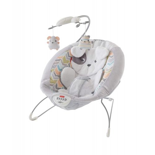 피셔프라이스 Fisher-Price My Little Snugapuppy Deluxe Bouncer