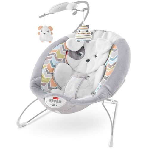 피셔프라이스 Fisher-Price My Little Snugapuppy Deluxe Bouncer