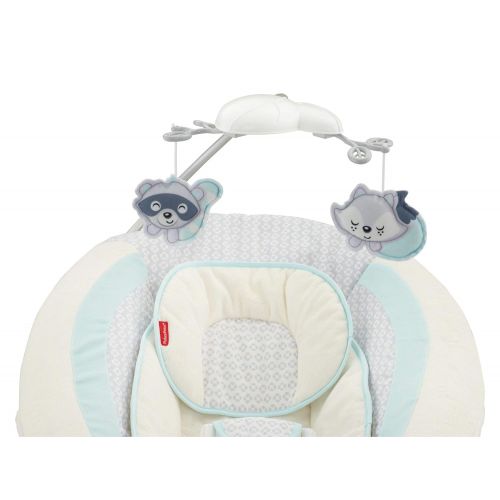 피셔프라이스 Fisher-Price My Little Snugapuppy Deluxe Bouncer