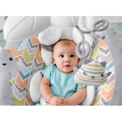 피셔프라이스 Fisher-Price My Little Snugapuppy Deluxe Bouncer