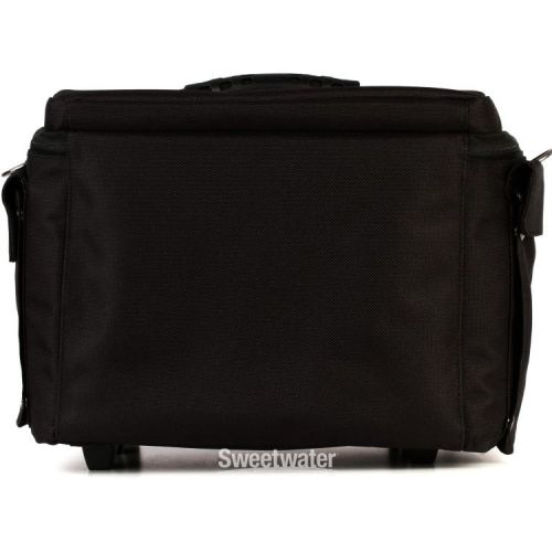  Fishman Deluxe Carry Bag for Loudbox Mini/Mini Charge