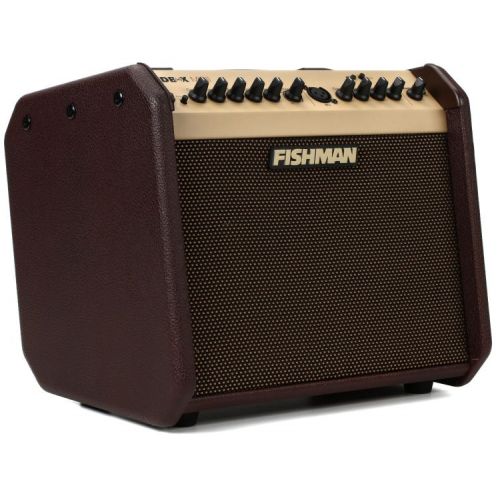  Fishman Loudbox Mini BT Songwriter Package with Microphone, Stand & Cable