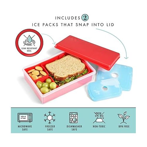  Fit & Fresh Collection Multi-Flex Bento Box with 2 Removeable Ice Packs, Adjustable Divided Meal Carrier Lunch Container, BPA-Free, 9.5