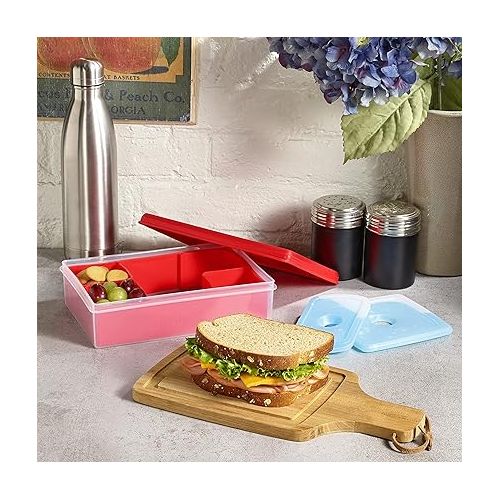  Fit & Fresh Collection Multi-Flex Bento Box with 2 Removeable Ice Packs, Adjustable Divided Meal Carrier Lunch Container, BPA-Free, 9.5