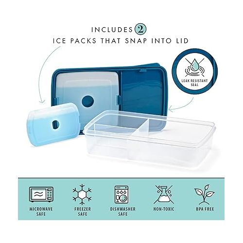  Fit & Fresh Bento Box Adult and Kids Lunch Box Container, Includes 2 Slim Clip-in Ice Packs, Reusable, Leak-Resistant, & Stackable Lunch Container for Adults