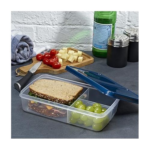  Fit & Fresh Bento Box Adult and Kids Lunch Box Container, Includes 2 Slim Clip-in Ice Packs, Reusable, Leak-Resistant, & Stackable Lunch Container for Adults