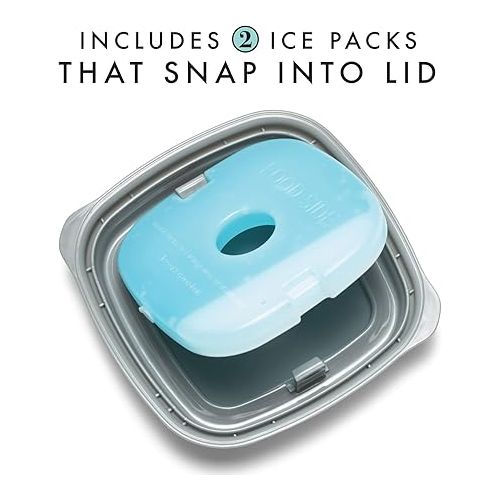  Fit & Fresh Small Plastic Containers With Lids 8 oz, Small Snack Containers With Lids For Adults and Kids, Reusable Leakproof Dressing and Condiment Containers With Two Attachable Ice Packs, 4PK, Light