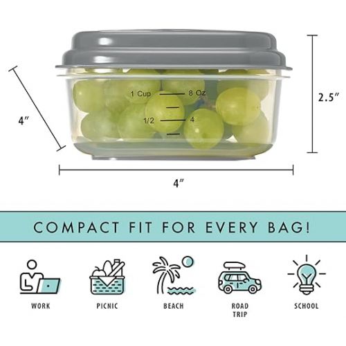  Fit & Fresh Small Plastic Containers With Lids 8 oz, Small Snack Containers With Lids For Adults and Kids, Reusable Leakproof Dressing and Condiment Containers With Two Attachable Ice Packs, 4PK, Light