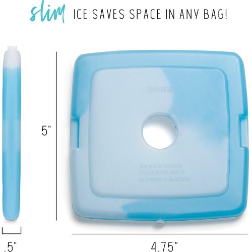  Fit + Fresh Cool Coolers Slim Ice Packs, Reusable Ice Packs for Lunch Bags, Beach Bags, Coolers, and More, Set of 8, Blue
