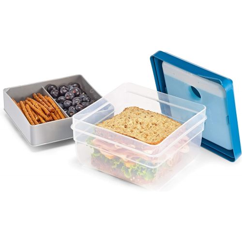  [아마존베스트]Fit & Fresh Divided Lunch Pack Carrier with Removable Ice Pack, Assorted colors
