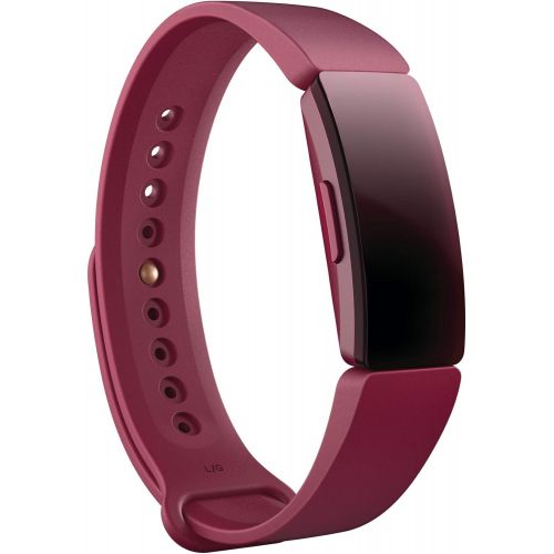  [아마존베스트]Fitbit Inspire Classic Accessory Band, Official Fitbit Product, Sangria, Large