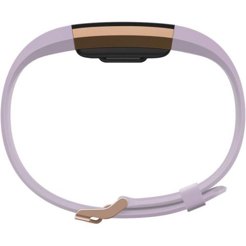  [아마존베스트]Fitbit Charge 2 Heart Rate + Fitness Wristband, Special Edition, Lavender Rose Gold, Small (International Version)