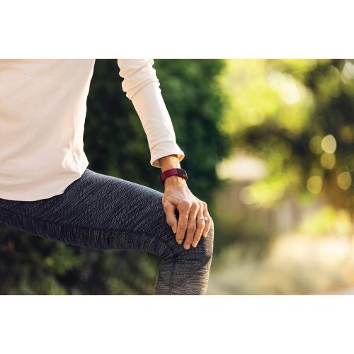  [아마존베스트]Fitbit Inspire Fitness Tracker, One Size (S & L bands included)