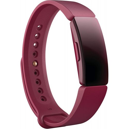  Fitbit Inspire Classic Accessory Band, Official Fitbit Product, Sangria, Small