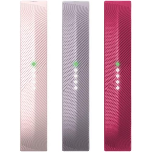  Fitbit Flex 2 Accessory 3 Piece Pack, Pink, Large, 0.13 Pound