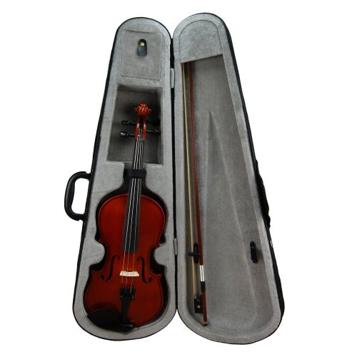  Rata Band Rata Ebony Fitted Varnish Finish 18 Size Violin for Adults Students Beginners Orchestra and School