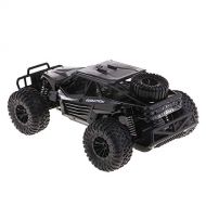 Fityle 1:18 2.4G RC Electric Car Model Toy 4CH with Remote Controller RTR Kit Black