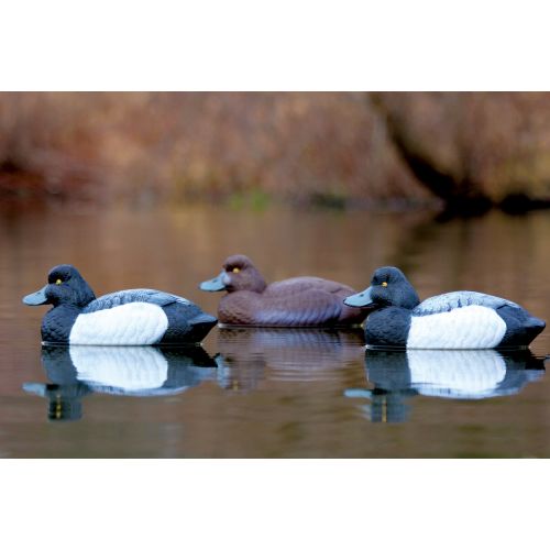  Flambeau Outdoors Masters Series Classic 14 Blue Bill Decoy, Pack of 6 (4 Drakes, 2 Hens)