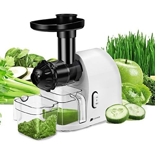  Flexzion Slow Masticating Juicer Machine - Household Low Speed Electric Cold Press Juice Extractor with Cleaning Brush, Juice Cup Pulp Container for High Nutrient Fruit and Vegetab