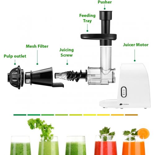  Flexzion Slow Masticating Juicer Machine - Household Low Speed Electric Cold Press Juice Extractor with Cleaning Brush, Juice Cup Pulp Container for High Nutrient Fruit and Vegetab