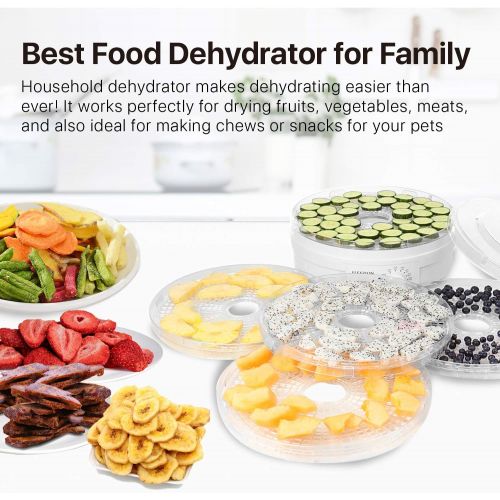  Flexzion Dehydrator for Food Fruit - Electric Food Saver Fruit Dehydrator Preserver Dry Fruit Dehydration Machine with 5 Stackable Tray