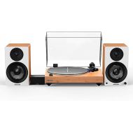 Fluance Reference RT85 High Fidelity Vinyl Turntable with PA10 Phono Preamp and Ai41 Powered 5