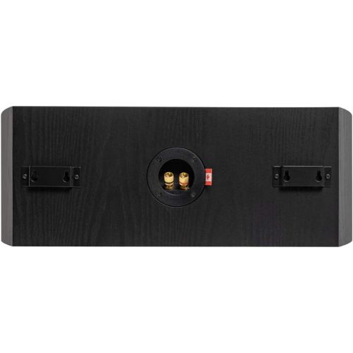  [아마존베스트]Fluance Reference High Performance 2-Way Center Channel Speaker for Enhanced Dialogue and Vocals in Home Theater Surround Sound Systems - Black Ash (XL8C)