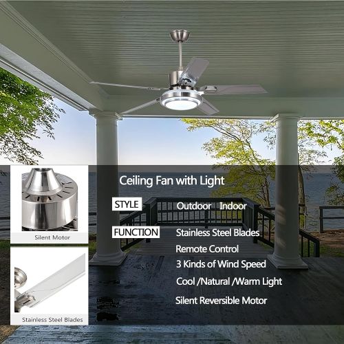  Fly Cat-Horse Outdoor Ceiling Fan, Remote Control Farmhouse Ceiling Fan with 5 Reversible Stainless Steel Ceiling fan with LED Light for Pavilion, Warehouse Industrial Ceiling Fan