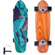 FlyBee Boards Flybee 28in Cruiser Stainwood Skateboard Complete,Short Board for Adult …