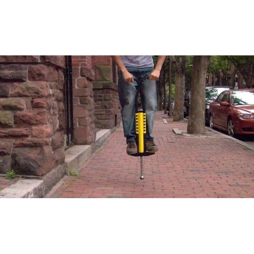  Flybar Foam Master Pogo Stick