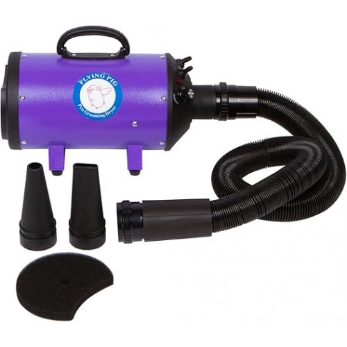  Flying Pig High Velocity Dog Pet Grooming Dryer w/Heater (Model: Flying One, Purple)