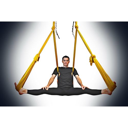  Flying Yoga Deluxe Aerial Yoga Hammock (Yoga Swing or Sling for Aerial Yoga) (Gorgeous Gold)