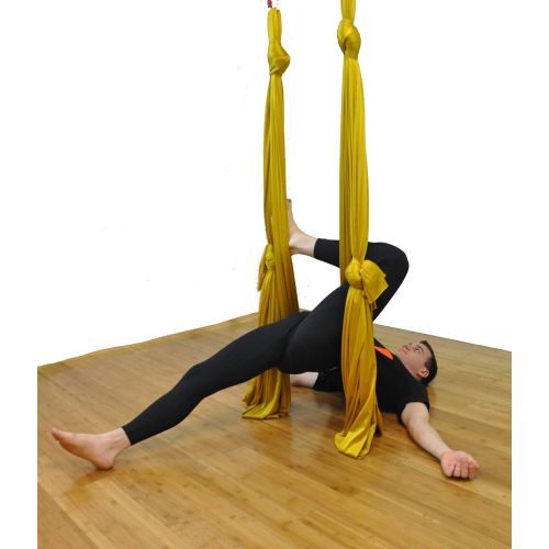  Flying Yoga Deluxe Aerial Yoga Hammock (Yoga Swing or Sling for Aerial Yoga) (Gorgeous Gold)