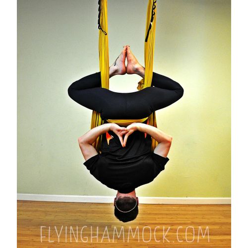  Flying Yoga Deluxe Aerial Yoga Hammock (Yoga Swing or Sling for Aerial Yoga) (Gorgeous Gold)