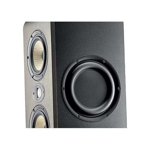  Focal Shape Twin 2x5