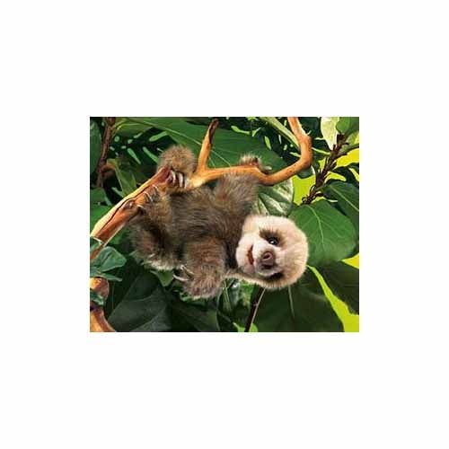  Baby Sloth Hand Puppet by Folkmanis - 2927