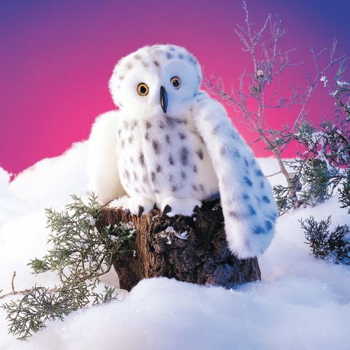  Folkmanis Puppets Snowy Owl Puppet (Other)