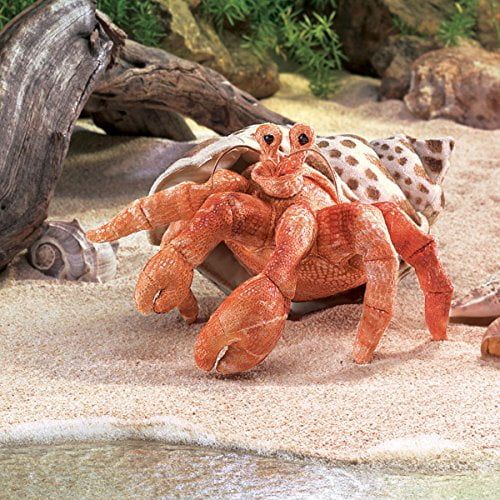  Hermit Crab Hand Puppet by Folkmanis - 2867