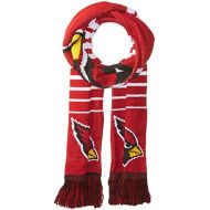 FOCO Forever Collectibles NFL Football 2014 Official Big Logo Team Scarf - Pick Team