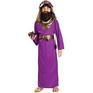 Forum Novelties Biblical Times Purple Wiseman Child Costume, Medium