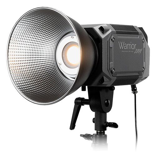  FotodioX Pro Warrior 200X Bi-Color LED Monolight