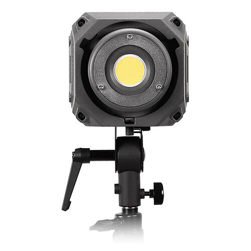  FotodioX Pro Warrior 200D Daylight LED Monolight